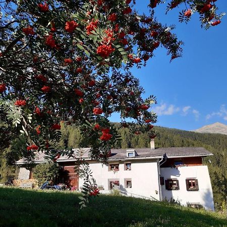 Apartmán Fuldera Daint Chasa Zanoli Whg Im Zweiten Stock Exteriér fotografie