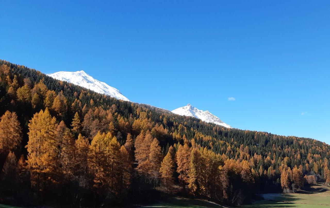 Apartmán Fuldera Daint Chasa Zanoli Whg Im Zweiten Stock Exteriér fotografie