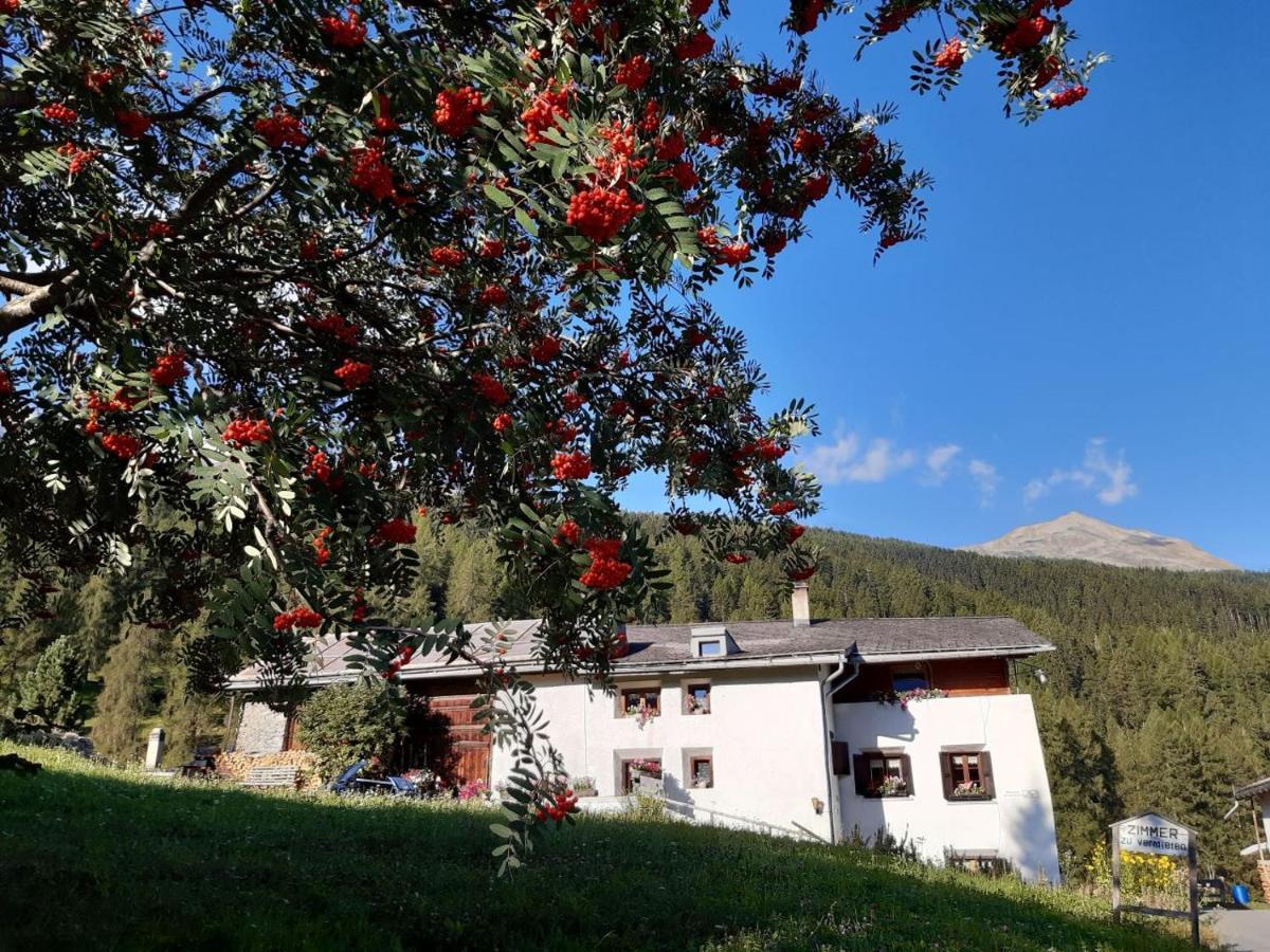 Apartmán Fuldera Daint Chasa Zanoli Whg Im Zweiten Stock Exteriér fotografie