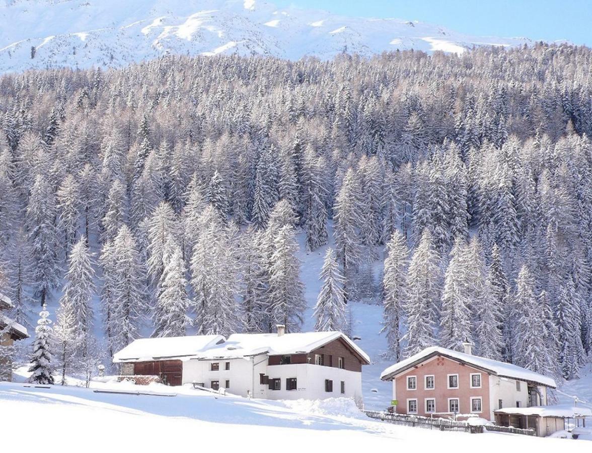 Apartmán Fuldera Daint Chasa Zanoli Whg Im Zweiten Stock Exteriér fotografie