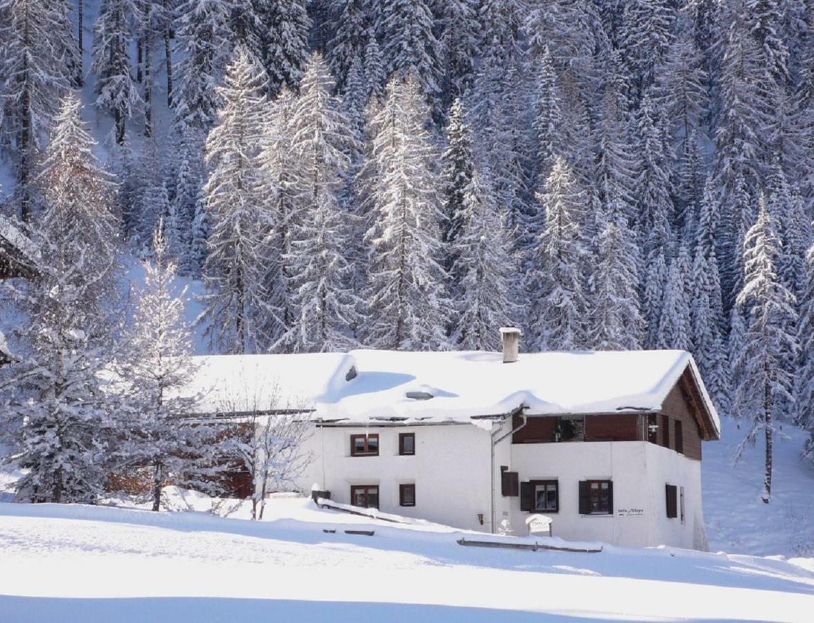 Apartmán Fuldera Daint Chasa Zanoli Whg Im Zweiten Stock Exteriér fotografie